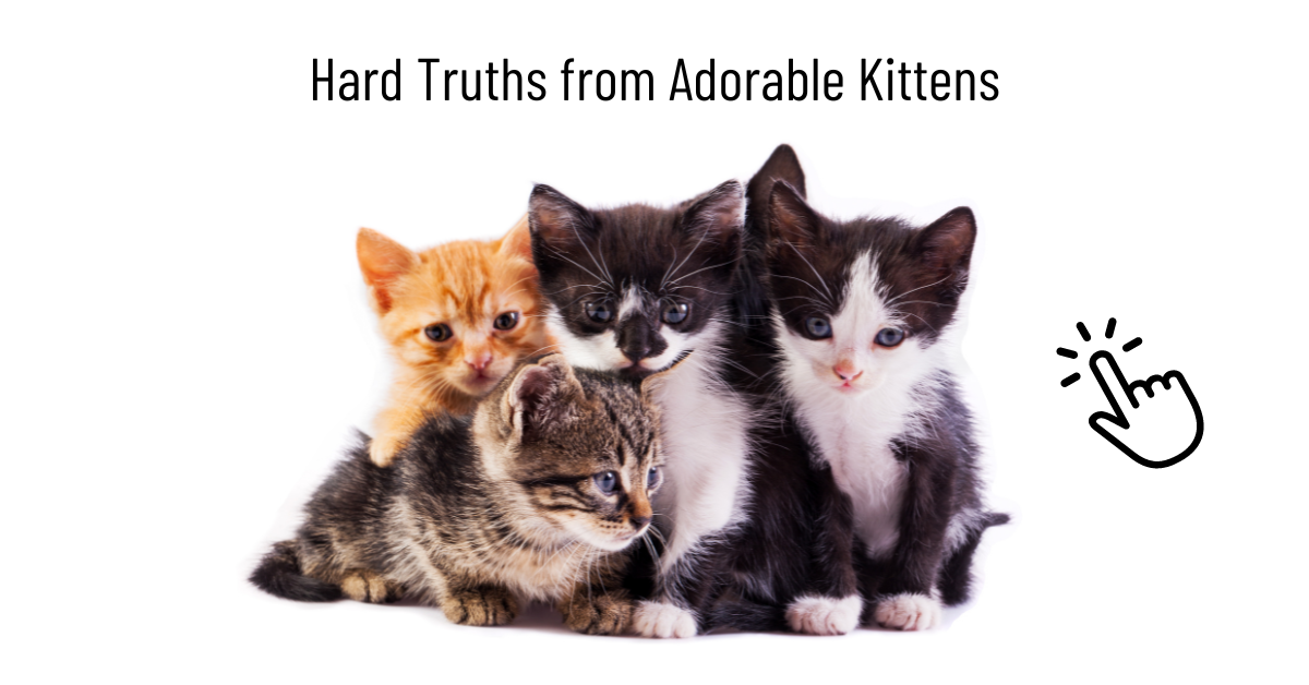 Cats or dogs: "Hard truths from adorable kittens" with four kittens