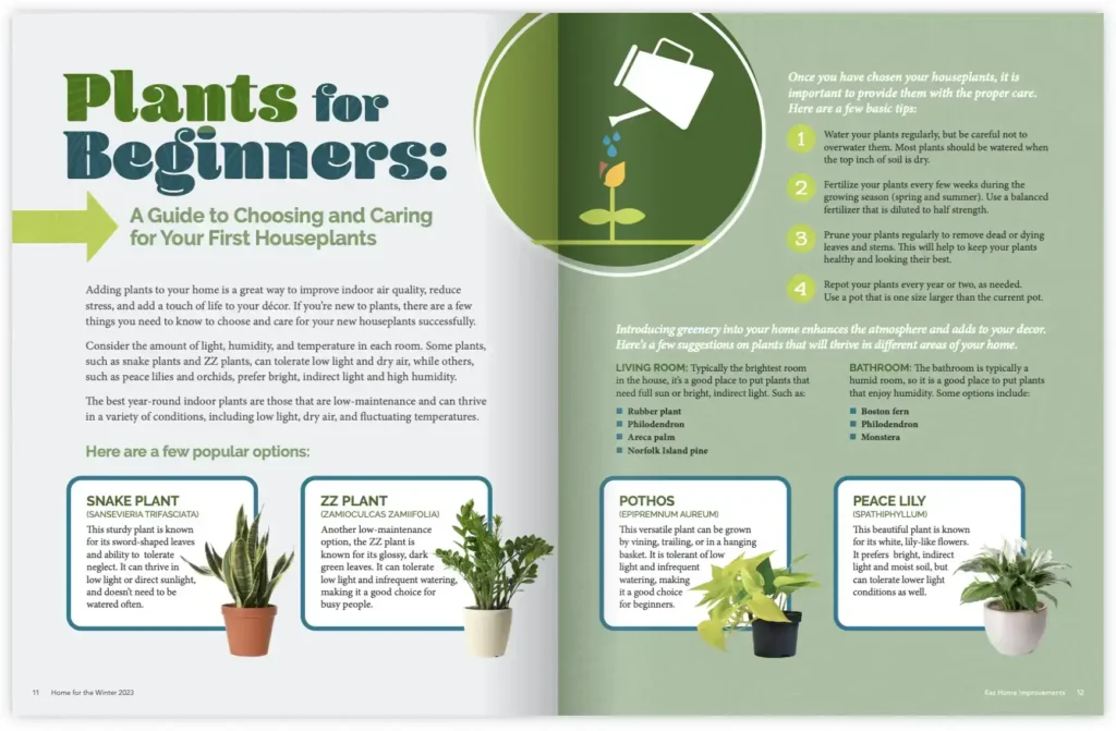 plants for beginners article spread